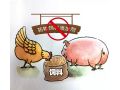 飼料“禁抗”新政出臺，行業(yè)準(zhǔn)備好了嗎？